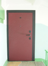 Дверь Покраска КРОКОДИЛ в два цвета 58